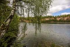 Bourgogne_2016-05-15_006