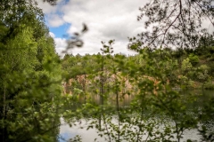 Bourgogne_2016-05-15_029