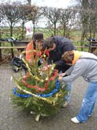 Décoration sapin de noël