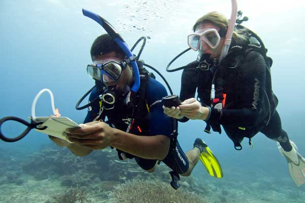 Formation Advanced PADI