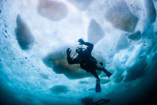 Plongée sous-glace