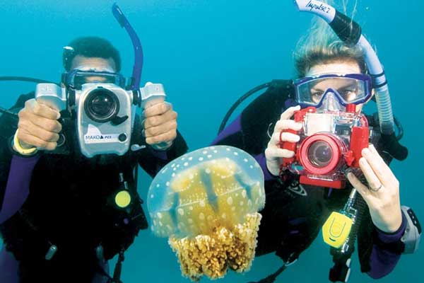 Formation photo PADI