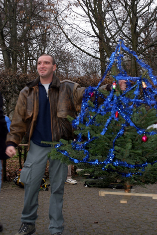 Sapin de noel